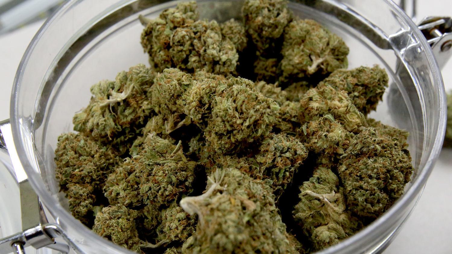 Arizona law expected to protect medical-pot users from feds